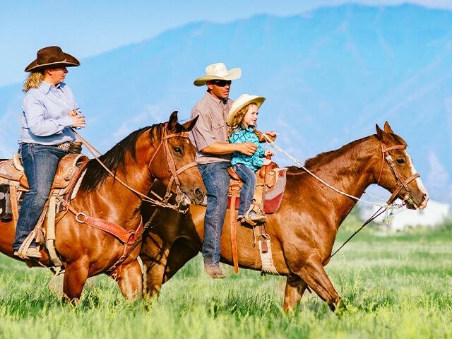 Photo of riders on horses.