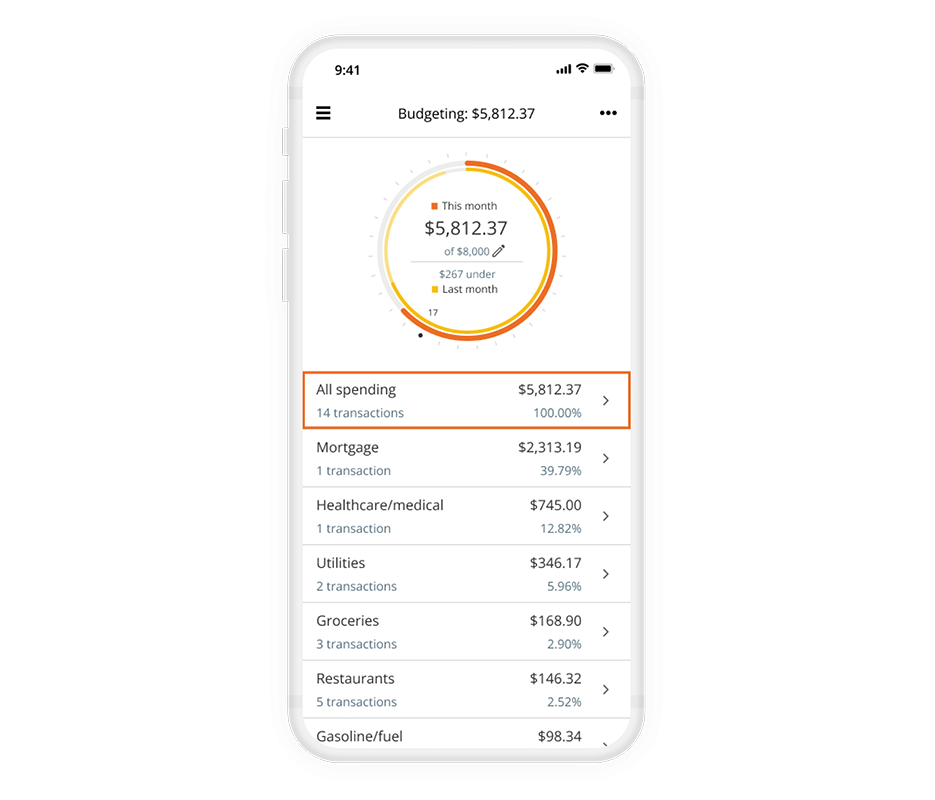 Budgeting app view